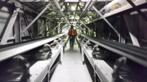 Worker inside a plant