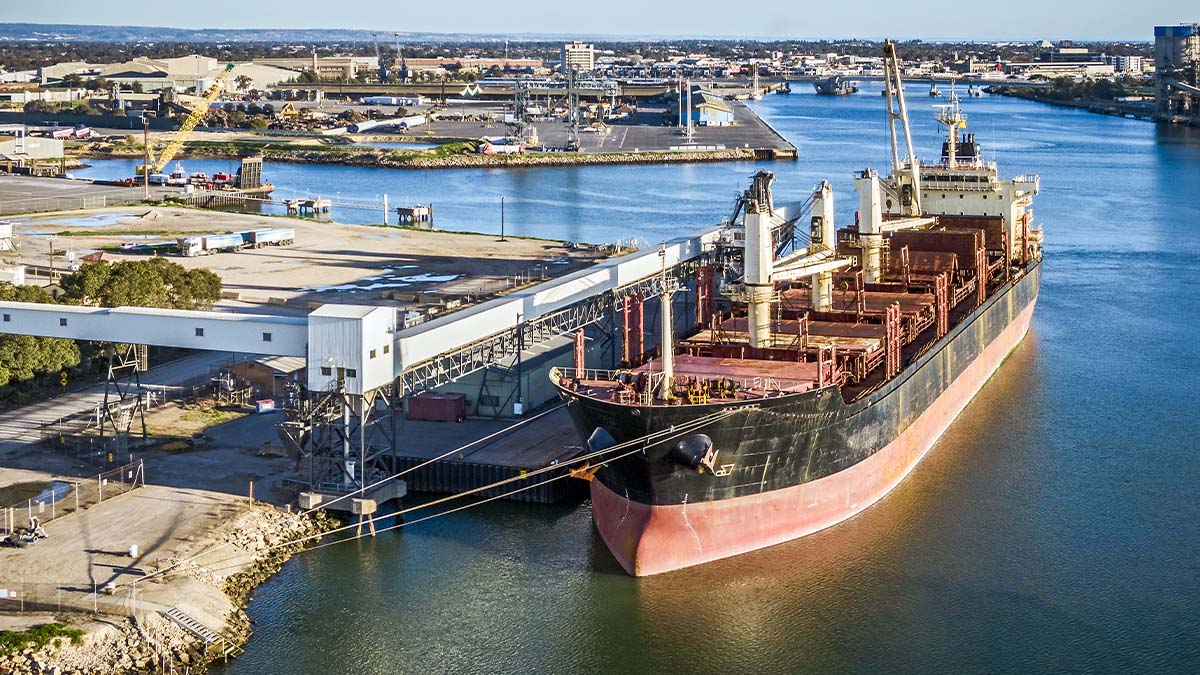 A bulk terminal that is loading cargo using conveyor belts