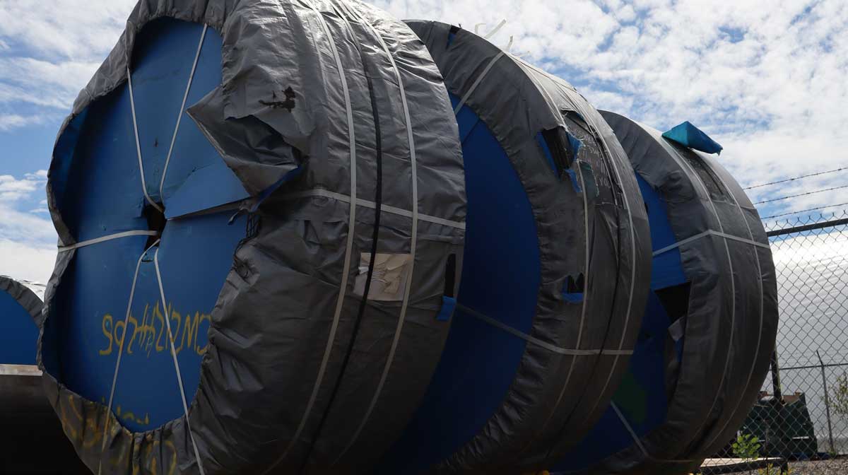 Belt Rolls Blue conveyor belt reel